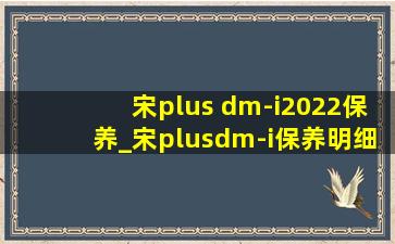 宋plus dm-i2022保养_宋plusdm-i保养明细图